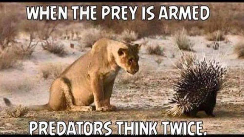 when-prey-is-armed.jpg