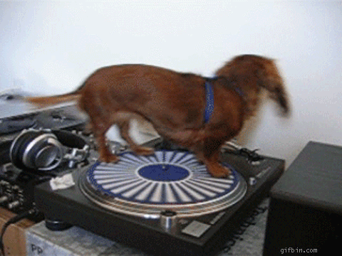 tumblr_ngqctzgj401u3dfolo1_500.gif