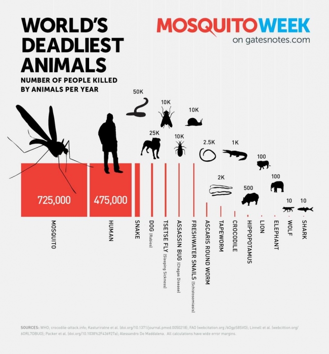 small_worlds_most_deadliest_animals.jpg