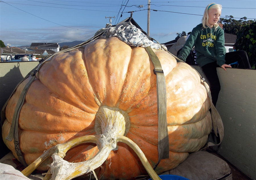 pb-121008-pumpkin-918p_photoblog900.jpg