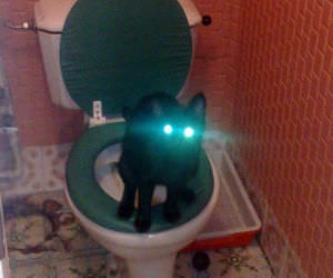 Laser-eyes_s.jpg