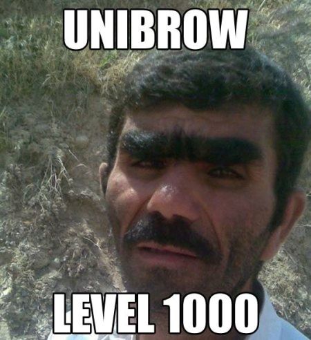 15-unibrow-level-1000.jpg