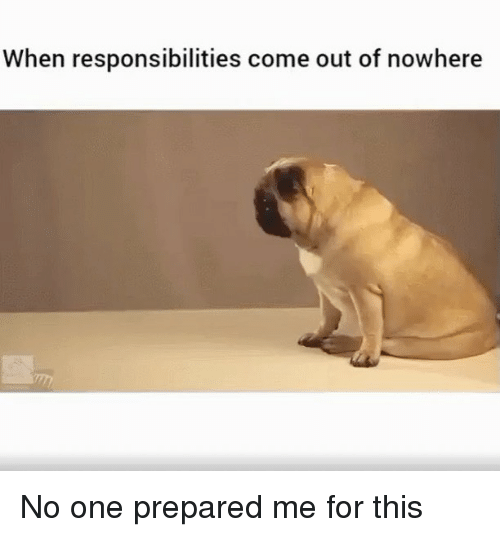 when-responsibilities-come-out-of-nowhere-no-one-prepared-me-7381146.png