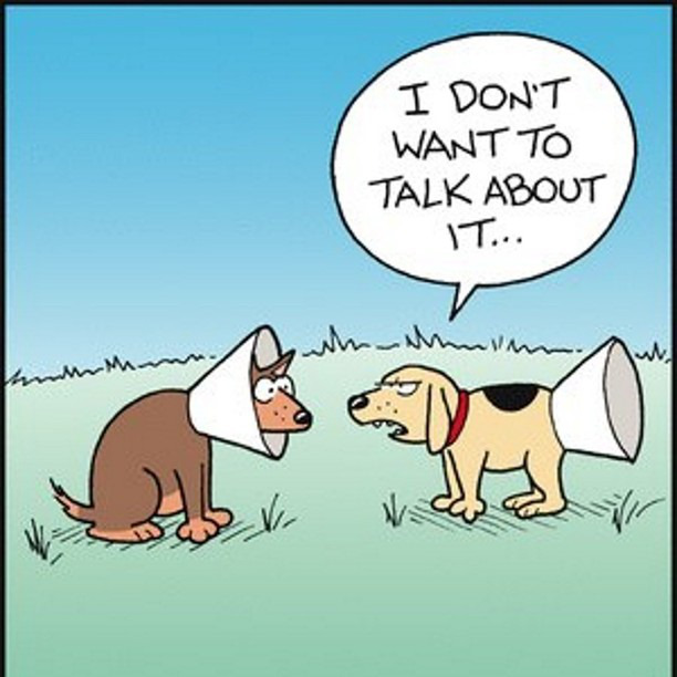 dog-humor-cone-of-shame1.jpg