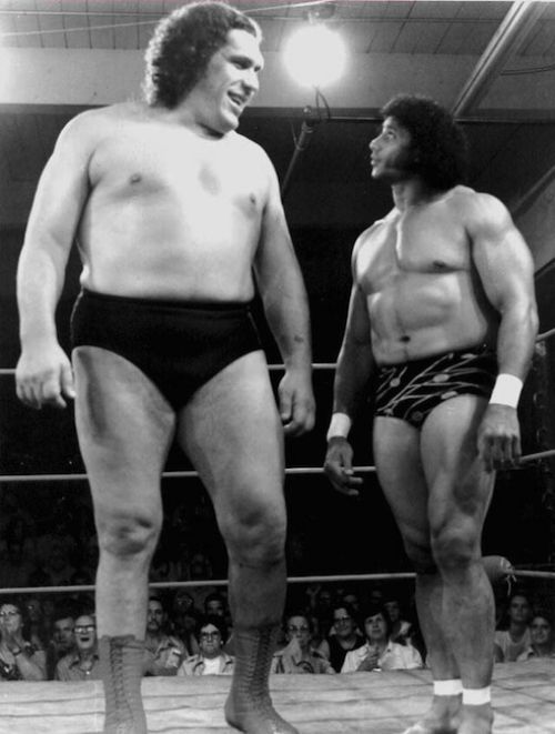 andre-giant-1.jpg