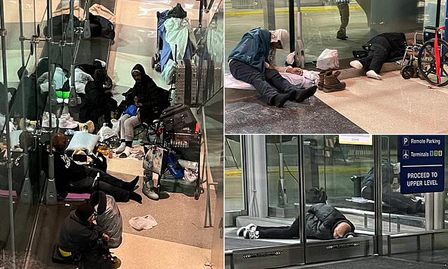 www.dailymail.co.uk