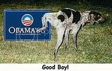 th_dog-peeing-on-obama-sign.jpg