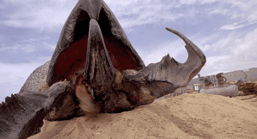 tumblr_nbzsz1gqgz1s2wio8o1_500.gif