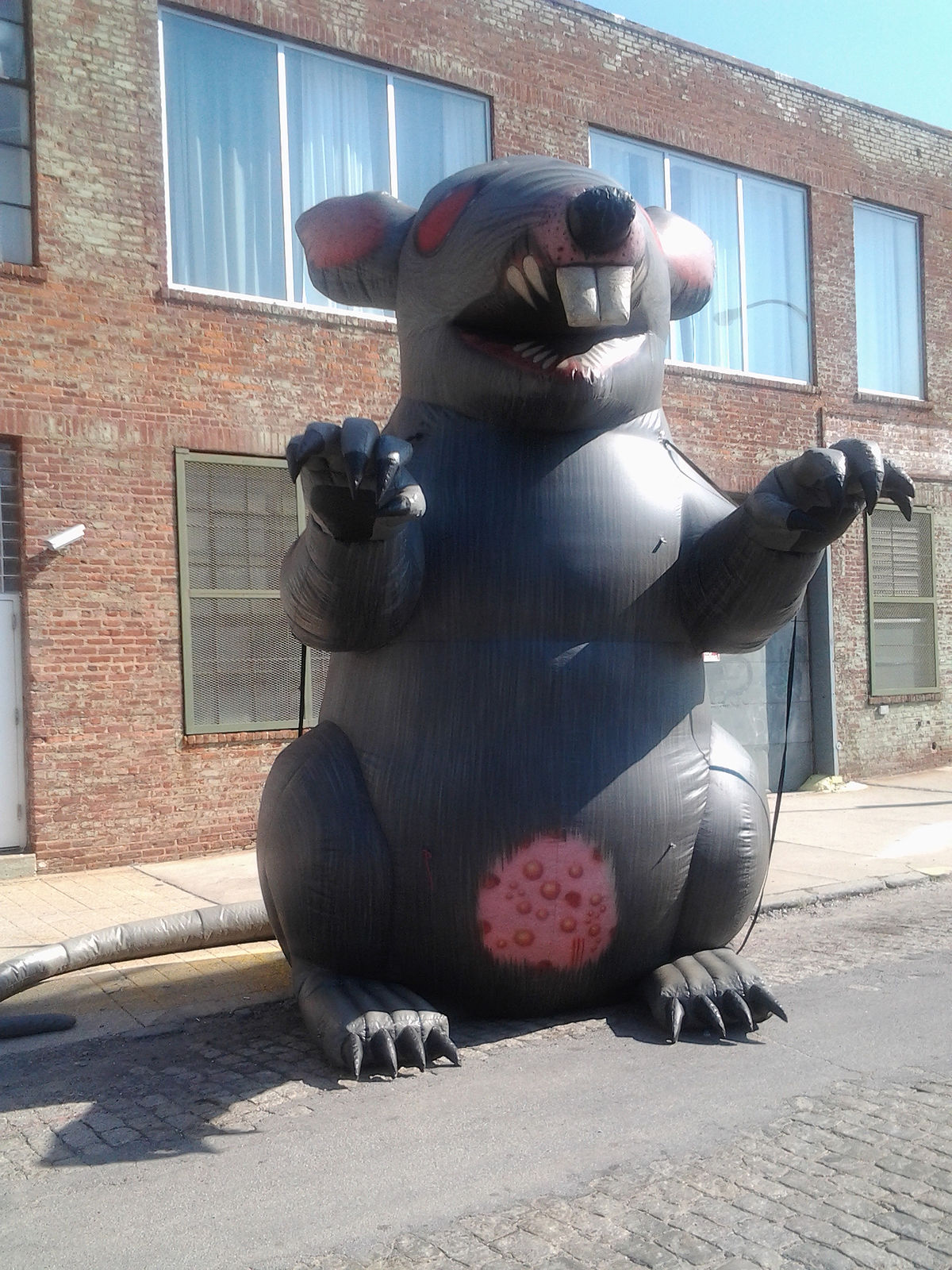 1200px-Union-rat.jpg