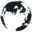 www.worldpolicyconference.com