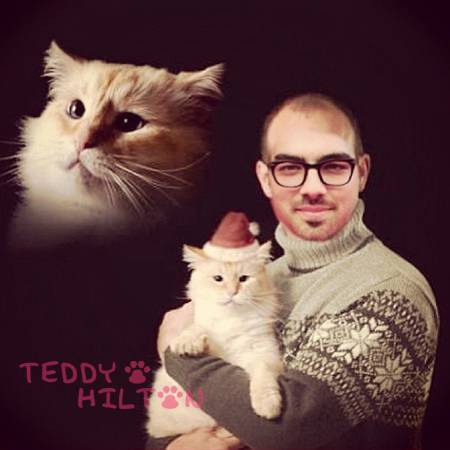 joe-jonas-cute-cat-awkawrd-christmas-card__oPt.jpg