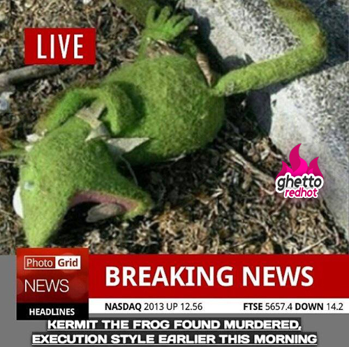 kermit-meme-news.jpg