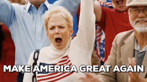 Trump-Wall-gif.gif