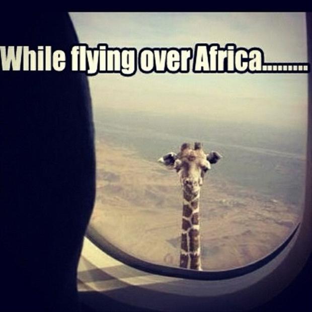 meanwhile-in-africa.jpg