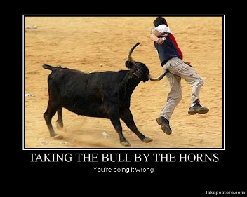 take+bull+by+horns.jpg