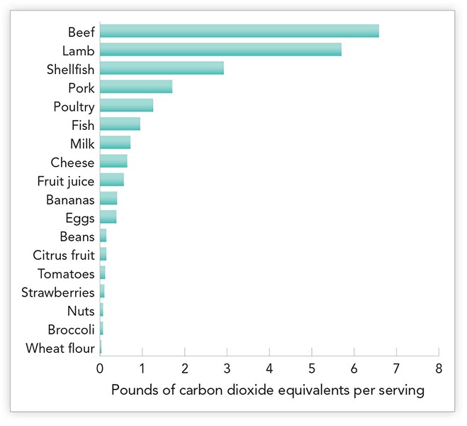 meatNHeat_graph_600pxtall.jpg