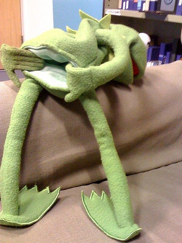 Kermit+supports+gay+marriage+please+dont+ban+he+s+a+frog_eeccbd_5435851.jpg