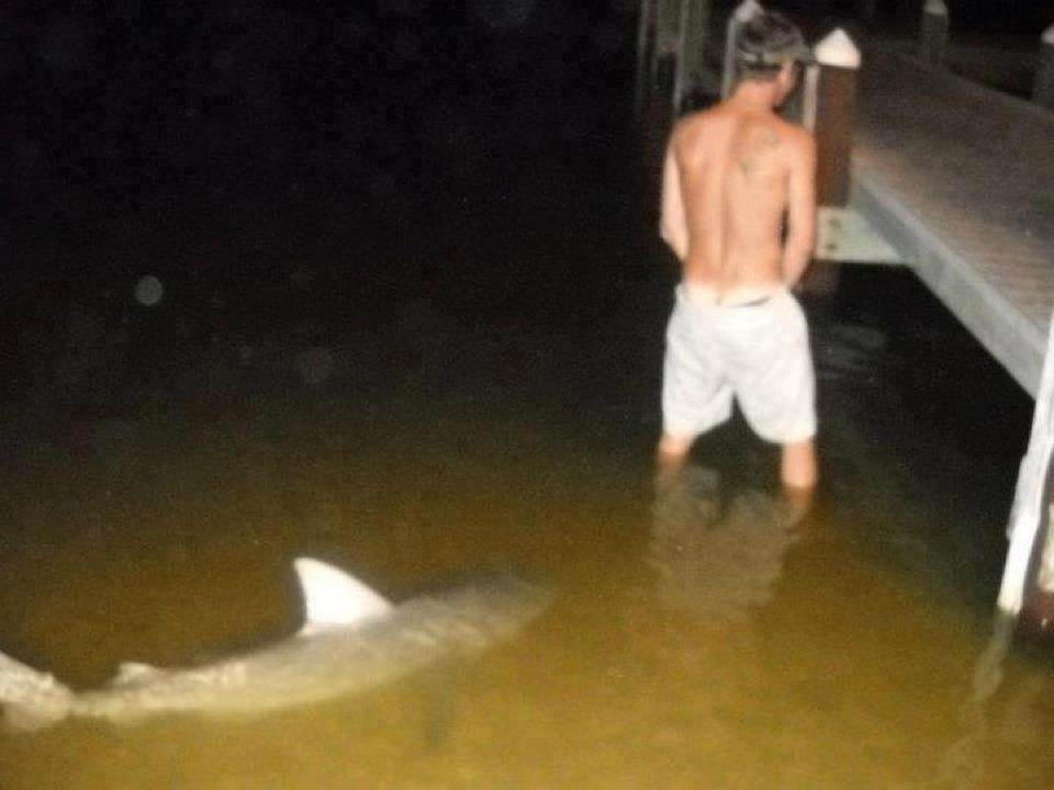Man-Peeing-Shark-Looking-Frm-Back-Funny-Picture.jpg