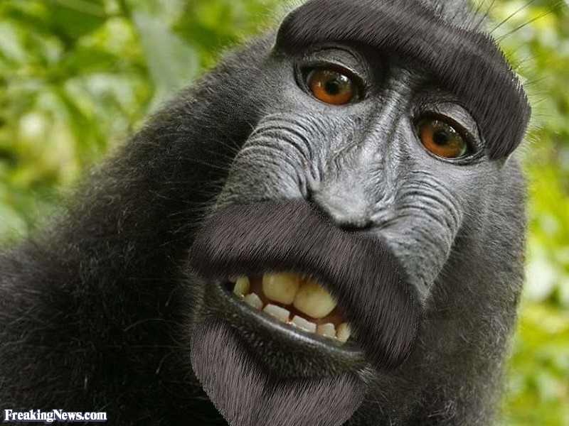 Strange-Ape-with-a-Beard--90751.jpg