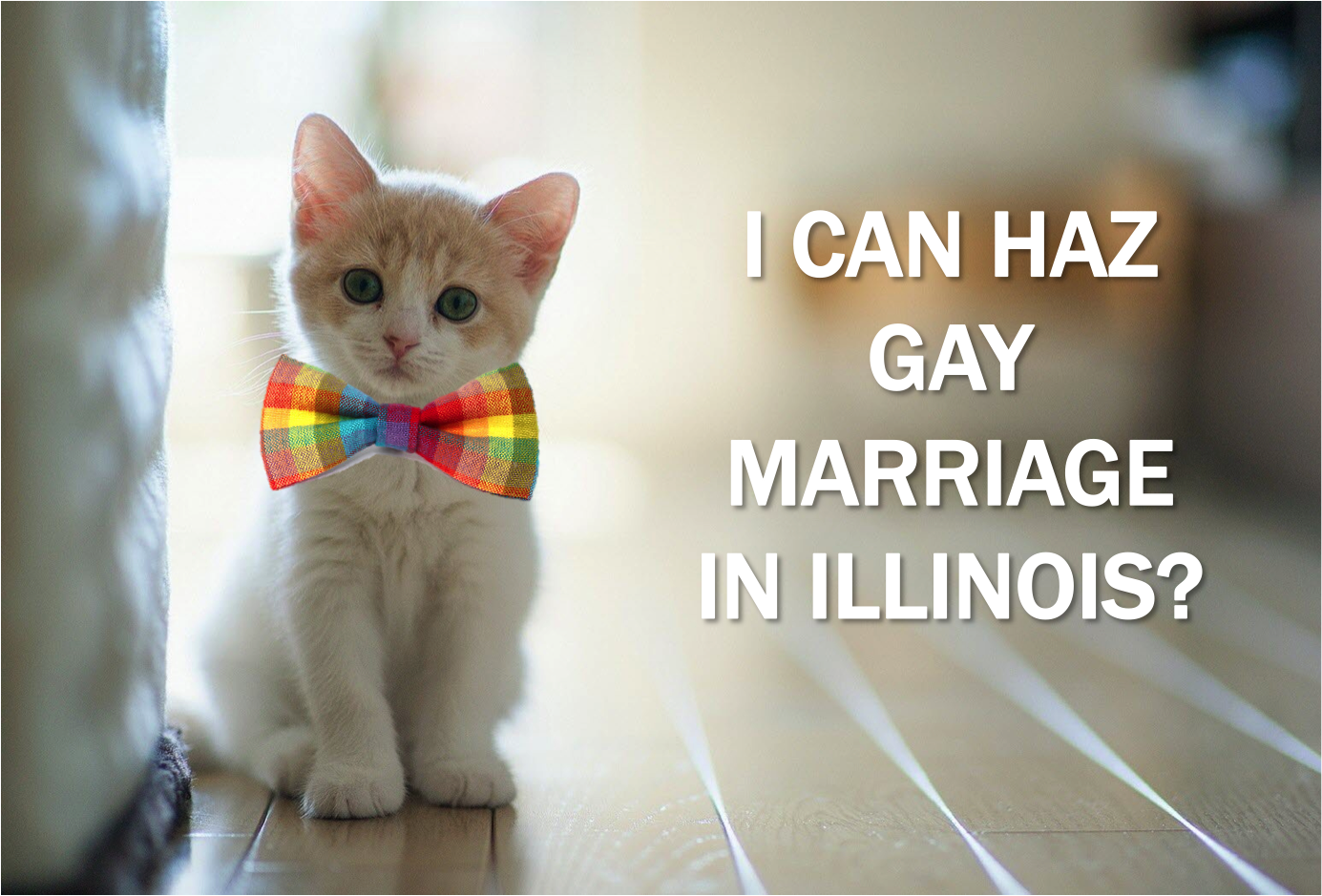 Current-EVent-Cat-Gay-Marriage-Illinois.png