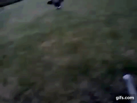 Q1G4JG.gif