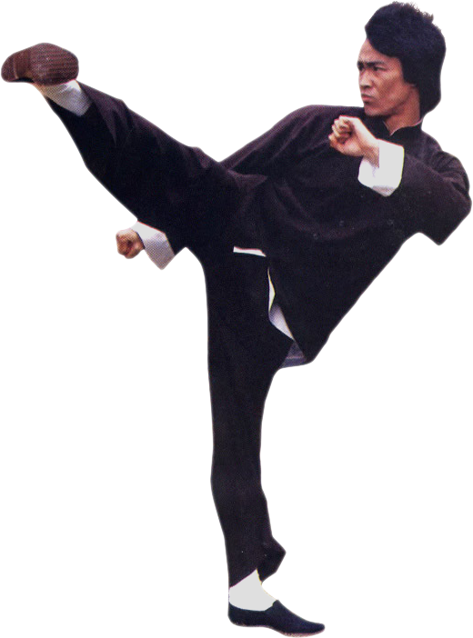 Bruce-Lee-PNG-Pic.png