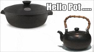 its_like_the_pot_calling_the_kettle_black._4343032808.gif