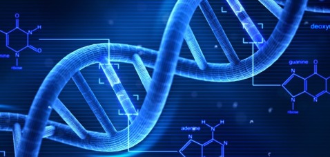 dna-biology1.jpg