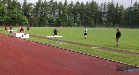 qozft.gif