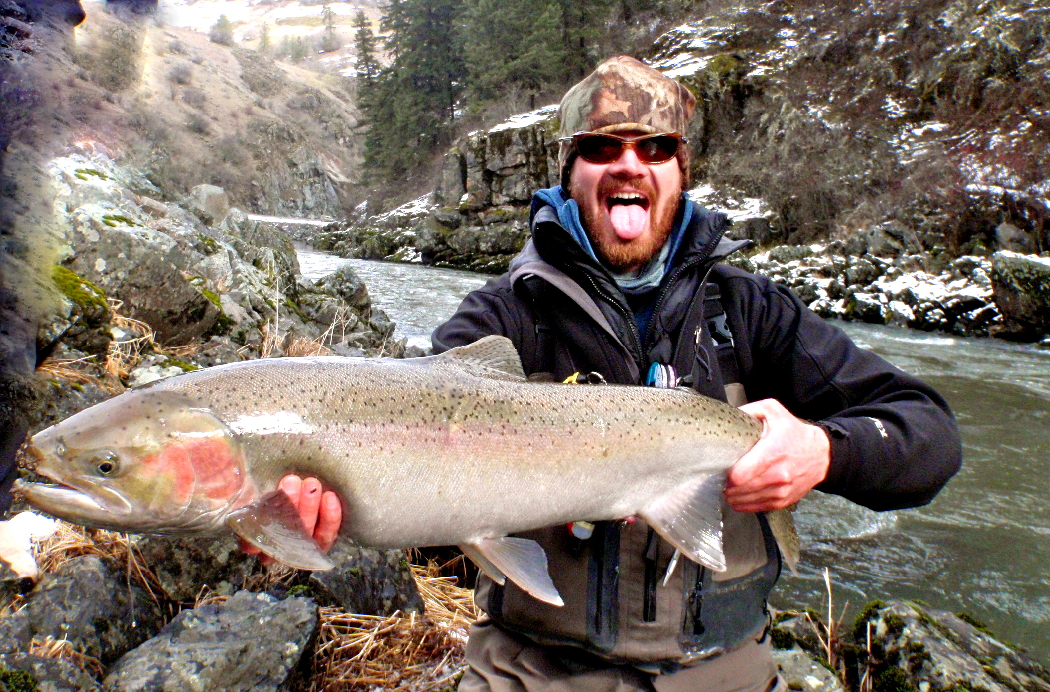 Color-Steelhead.jpg