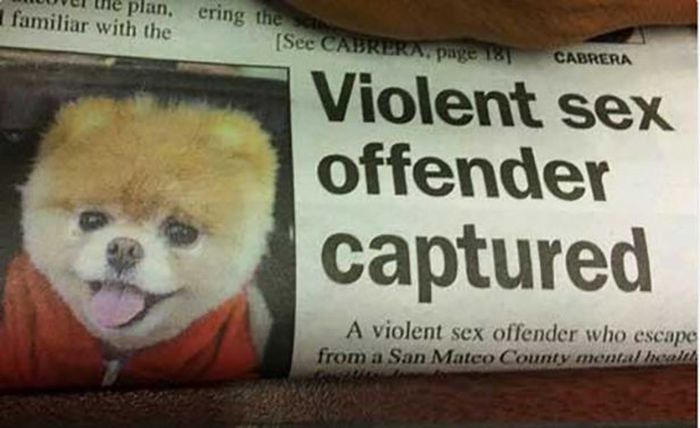 news_fails_02.jpg