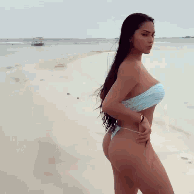 beach-model.gif