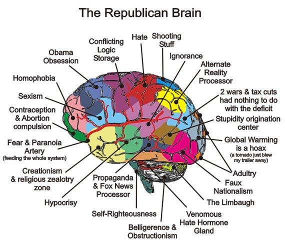 republican-brain-diagram.jpg