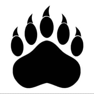 survivalmagazine.org