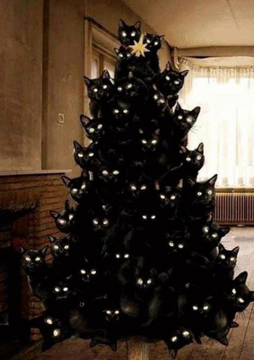 funny-Christmas-tree-black-cats1.jpg