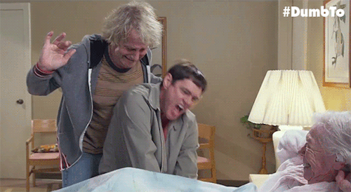 8uGQ.gif