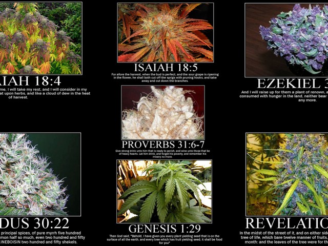 bible-weed-memes-640x480.jpg