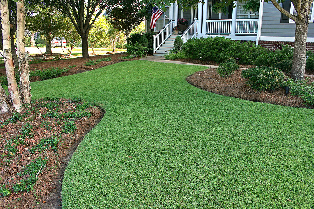 empire-front-lawn_1000x667.jpg