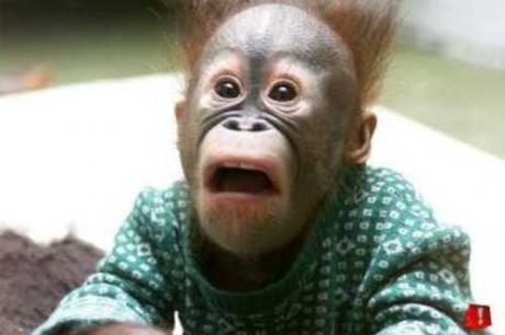 171-0501094832-surprised-face.jpg