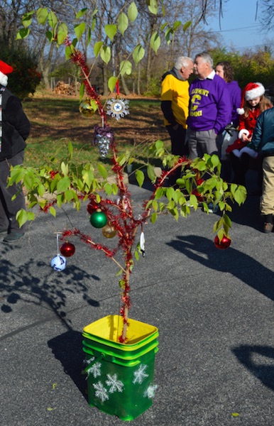 Christmas-Weed-Decorated.jpg