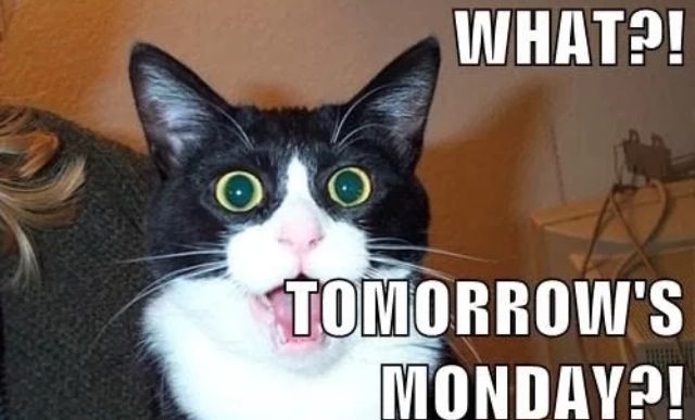 113060-What-Tomorrow-s-Monday.jpg