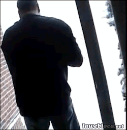 tumblr_n0k4zyqsWt1s02vreo1_250.gif