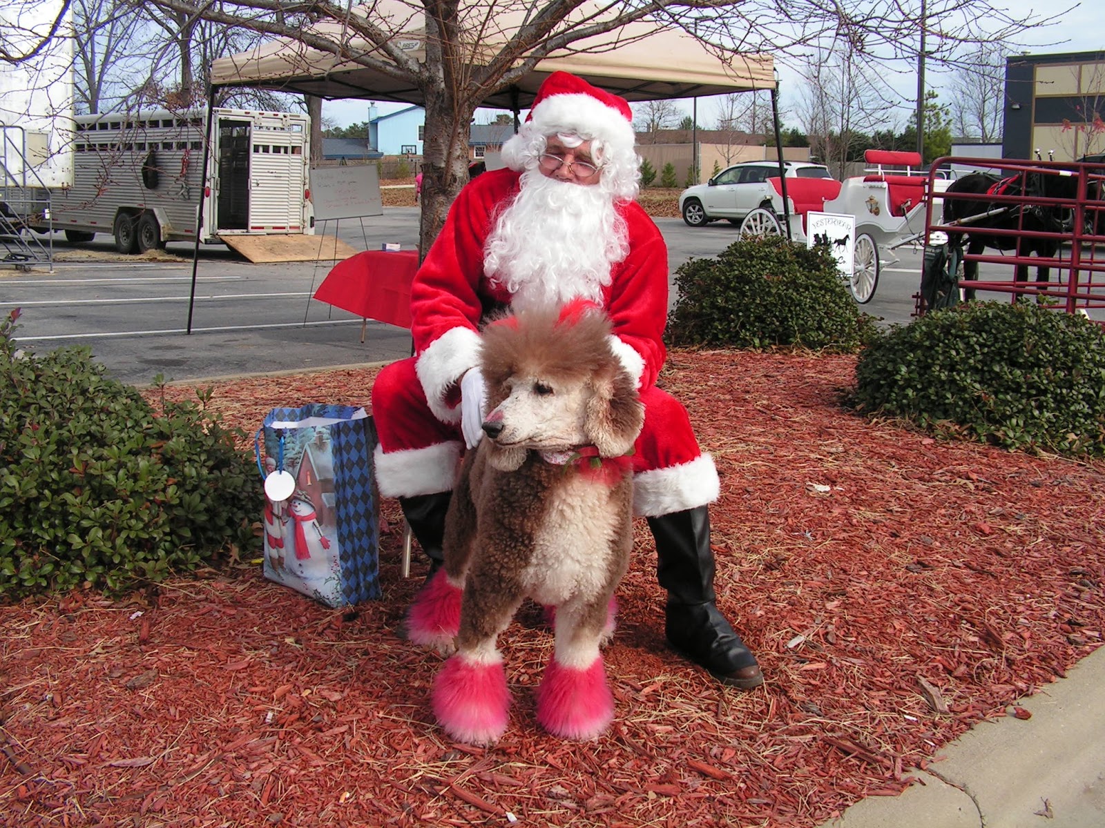 Santa+Baby+008.JPG