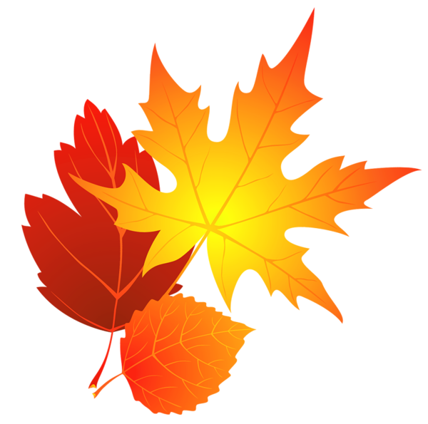 fall-leaves-clip-art-transparent-background-821555.png