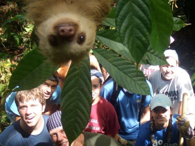 sloth-photobomb.jpg