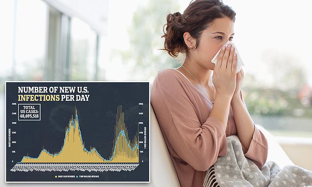www.dailymail.co.uk