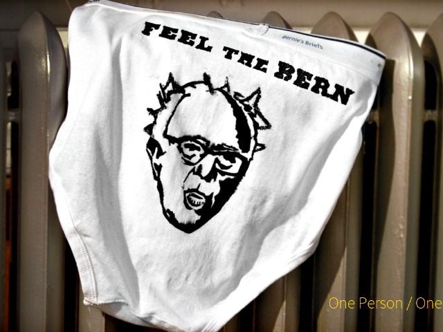 Bernies-Briefs.org_-640x480.jpg