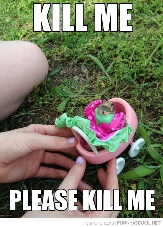 funny-frog-dress-toy-pram-kill-me-pics.jpg