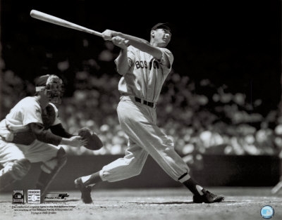 10105809B~Ted-Williams-Posters.jpg