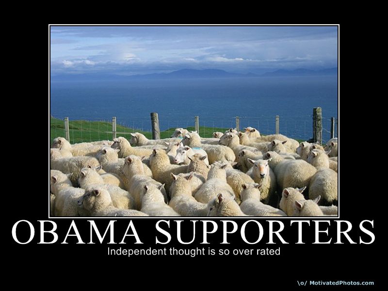 633696244029174310-obamasupporters.jpg